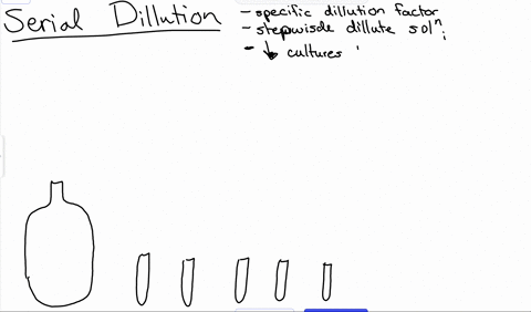 the-titer-of-a-virus-stock-can-be-calculated-in-plaque-torming-units-pfu-per-milllliter-i0-determine-the-virus-titer-the-plaques-are-counted-to-minimize-error-only-plates-containing-between-45894