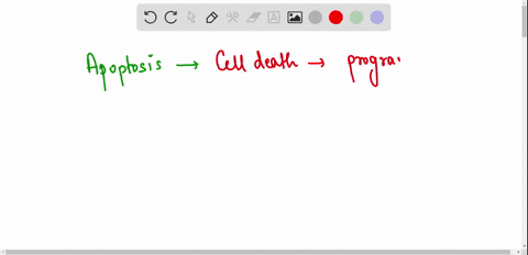plz-helpp-question-6-1-point-apoptosis-is-a-programmed-cell-death-b-when-the-cell-splits-into-2-after-mitosis-c-type-of-cancer-d-cells-growing-without-check-points-88768