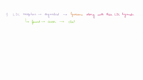 font-paragraph-pbenylketcuuna-peu-acnanlen-ud-sed-m-ufierent-dma-eilptiozt-4-bene-tbxt-cedes-for-enzne-olled-phenybzlnine-hydroxyke-thu-enzyue-brexki-donn-te-unno-xid-pherylknme-nhkh-mporzat-28508