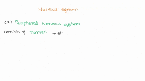 for-each-empty-space-in-the-statements-below-fill-in-with-the-correct-answer-do-not-use-abbreviations-like-pns-any-special-characters-like-the-nervous-system-is-divided-into-the-which-is-com-06513