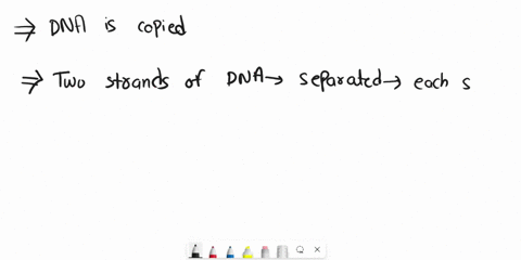 9-how-is-dna-copied-o-a-the-sense-strand-of-dna-is-used-as-a-template-to-create-both-strands-of-the-new-double-helix-o-b-the-antisense-strand-of-dna-is-used-as-a-template-to-create-both-stra-65084