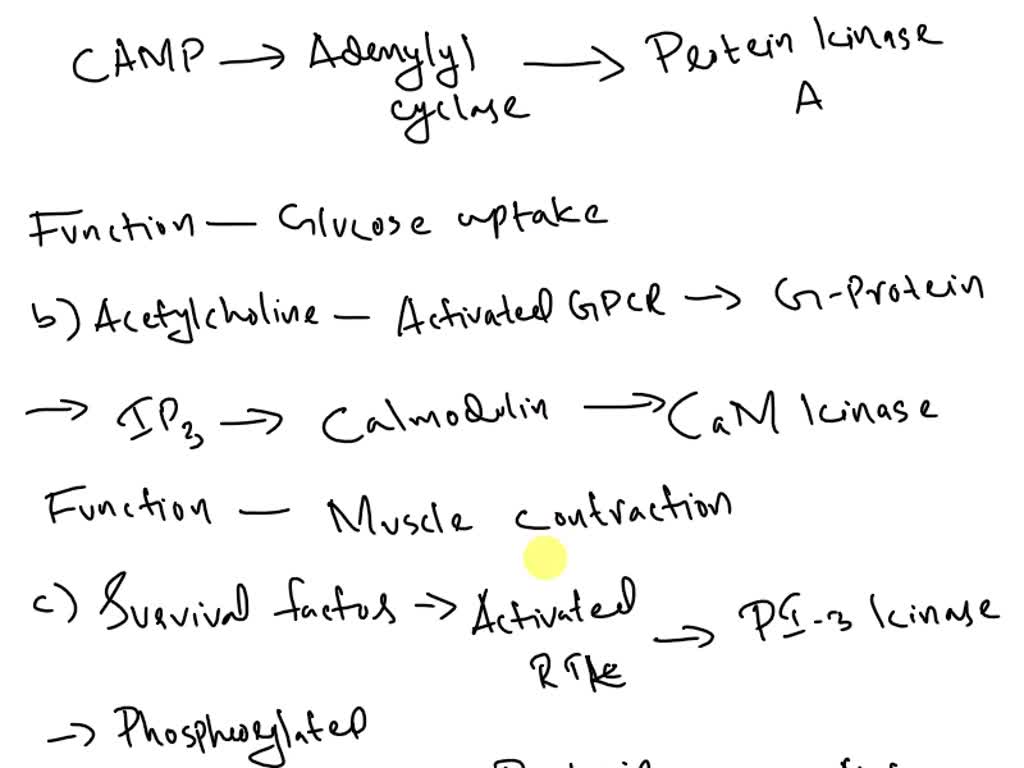 SOLVED: Explain the principles and working mechanism of the following ...