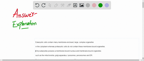 describe-what-are-the-difference-and-similarities-between-prokaryotic-and-eukaryotic-cells-18662