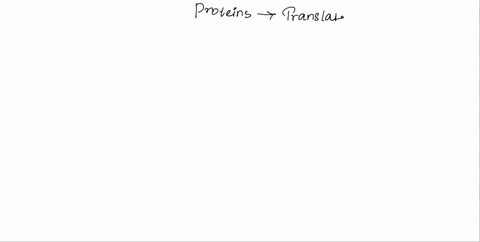 state-whether-the-following-proteins-are-translated-completely-on-free-ribosomes-in-the-cytoplasm-and-explain-your-reasoning-a-an-enzyme-that-resides-in-the-lysosome-matrix-yes-no-reason-b-c-93186