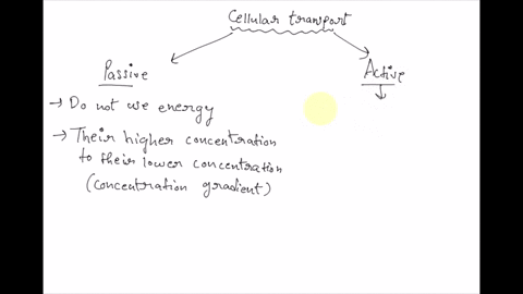 52-true-or-false-write-t-for-true-and-f-for-false-on-the-line-next-to-each-statement-_____-passive-transport-does-not-require-energy-_____-in-passive-transport-molecules-move-from-high-to-lo-01939