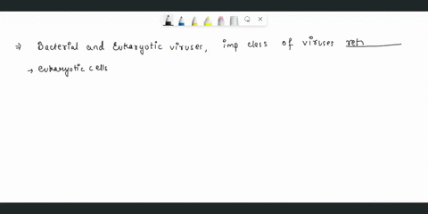 2-although-there-are-many-similarities-between-bacterial-and-eukaryotic-viruses-one-important-class-of-virusesthe-_______is-found-only-in-eukaryotic-cells-in-many-respects-retroviruses-resem-68313