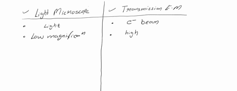 which-is-difference-between-compound-light-microscope-and-transmission-electron-microscope-29035