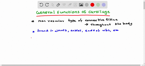 what-is-the-general-function-of-cartilage-53583