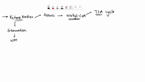 which-of-the-following-statements-is-false-ketone-bodies-a_-are-used-by-certain-tissues-to-produce-acetyl-coa-for-use-in-the-tca-cycle-b-are-increased-in-times-of-starvation-because-of-a-lim-24572