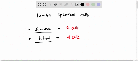 an-organized-group-of-16-64-spherical-bacterial-cells-is-called-_-iarcinae-kerradi-someprobacillil-staphylococci-29761