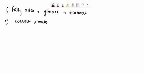which-statement-about-fatty-acid-synthesis-is-correct-fatty-acids-cannot-be-synthesized-from-acetyl-coa-units-derived-from-glucose-although-malonyl-coa-molecules-are-three-carbons-in-length-10715