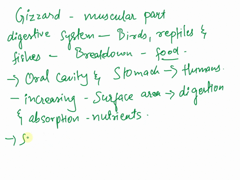 how-does-the-gizzard-compare-functionally-and-structurally-to-the-oral-cavity-and-stomach-of-humans-please-be-specific-61773