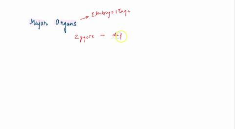 major-organs-form-and-cells-continue-to-divide-in-the-__________-stage-a-zygote-b-germinal-c-embryonic-d-fetal-37113