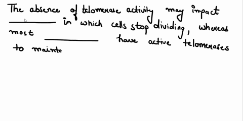 the-absence-of-telomerase-activity-may-impact-select-answer-cell-aging-cancer-cell-immortality-in-which-cells-stop-dividing-whereas-most-select-answer-have-active-telomerases-to-maintain-tel-30411