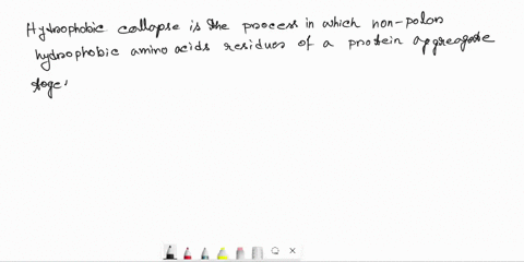 what-is-hydrophobic-collapse-what-is-the-importance-of-this-process-during-protein-folding-what-forces-may-be-in-play-to-make-it-happen-42631