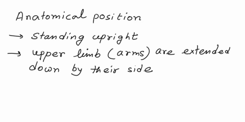 anatomical-position-refers-to-an-individual-that-is-standing-erect-upper-limbs-at-their-sides-and-palms-facing-inward-standing-erect-upper-limbs-at-their-sides-and-palms-facing-anterior-layi-26819