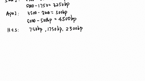 33_-the-image-below-represents-a-5000-base-pair-plasmid-with-restriction-enzyme-sites-marked-at-their-locations-you-cut-the-plasmid-with-various-enzymes-or-combinations-of-enzymes_-the-wells-49287