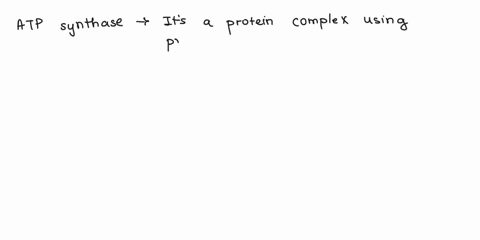what-is-atp-synthase-and-how-does-it-workonly-few-sentenceshow-do-cells-use-the-energy-from-atp-few-sentences-30257