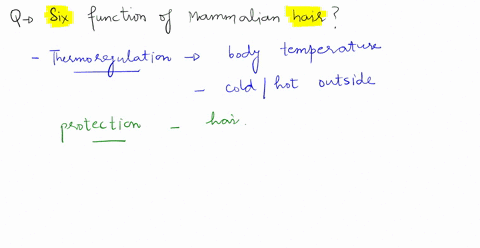 list-and-describe-the-six-functions-of-mammalian-hair-pls-help-39833