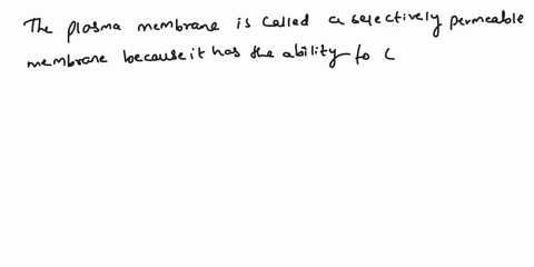 why-is-the-plasma-membrane-called-a-selectively-permeable-membrane-15168