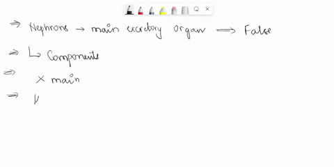 4-nephrons-are-the-main-excretory-organs-in-human-body-true-or-false-51697