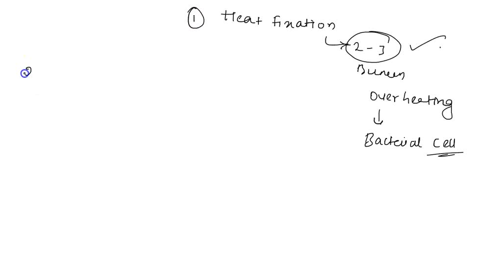 SOLVED During heat fixation, it is important that the slide be passed