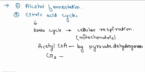of-the-following-choices-which-pathways-produce-carbon-dioxide-as-waste-products-lactic-acid-fermentation-oxidative-phosphorylation-alcohol-fermentation-glycolysis-citric-acid-cycle-beta-oxi-72066