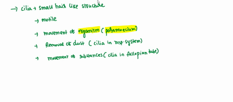 what-are-the-major-functions-of-cilia-and-microvilli-71892