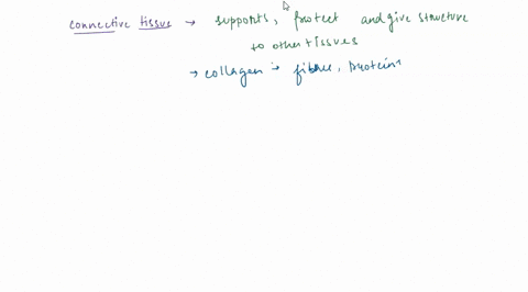 which-of-the-following-is-iist-of-conneetive-lissues-adipose-uissuc-ailage-bone-aid-blood-adiposc-tissue-dense-and-loose-eonnective-bone-blood-mnd-skin-tissues-anl-neurons-cantilage-bonc-and-40804
