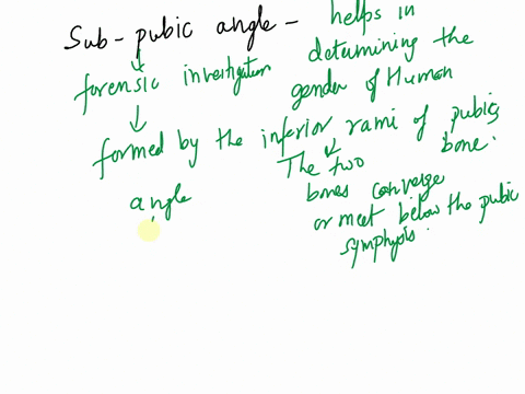 please-take-a-look-at-the-following-specimen-the-sub-pubic-angle-isselect-the-pubic-bone-body-isselect-the-ventral-arc-isselect-39717