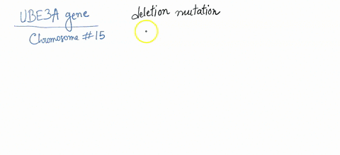 if-fish-analysis-is-done-to-detect-the-ube3a-gene-shown-below-in-an-individual-who-has-deletion-mutation-ofthis-gene-in-the-paternally-inherited-chromosome-how-many-spots-will-be-detected-by-36985
