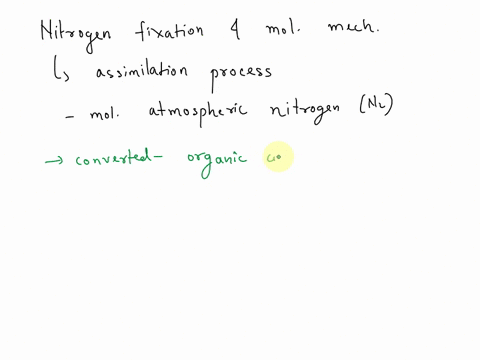 what-is-nitrogen-fixation-describe-the-molecular-mechanism-of-biological-nitrogen-fixation-43433