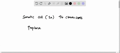 human-cells-have-46-chromosomes-each-chromosome-consists-of-a-pair-of-identical-chromatids-attached-together-by-a-structure-called-a-centromere-once-the-chromosome-has-split-each-chromatid-i-95266