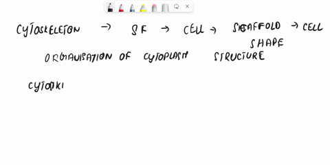 which-structures-carry-out-cell-movement-a-chromosomes-b-nucleolus-nucleus-c-cytoplasm-ribosomes-d-cilia-flagella-16152
