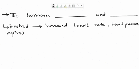 the-hormones-________-and-________-are-involved-in-arousal-and-increased-heart-rate-blood-pressure-respiration-and-other-autonomic-nervous-system-functions-79056