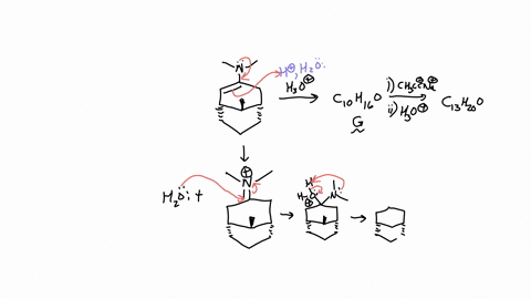Ch3cc identify compound g and draw the mechanism for the hydrolysis process ...