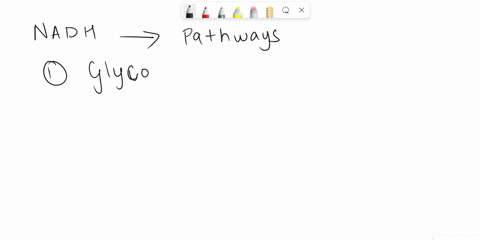2-in-a-plant-leaf-the-reactions-that-produce-nadh-occur-in-a-both-the-light-reactions-and-the-calvin-cycle-b-neither-the-light-reactions-nor-the-calvin-cycle-c-the-light-reactions-alone-d-th-54772