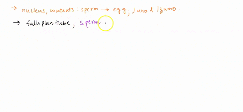 describe-the-process-by-which-the-nucleus-and-contents-of-the-sperm-enter-the-mammalian-egg-include-acrosome-enzymes-juno-and-izumo-in-your-answer-84367