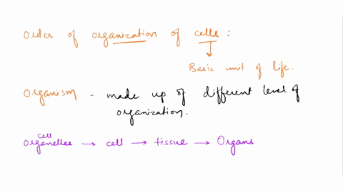 question-3-1-point-choose-the-correct-order-of-organization-of-cells-cells-organs-tissues-organ-systems-whole-organism-cells-organ-systems-tissues-organs-whole-organism-cells-tissues-organs-85935