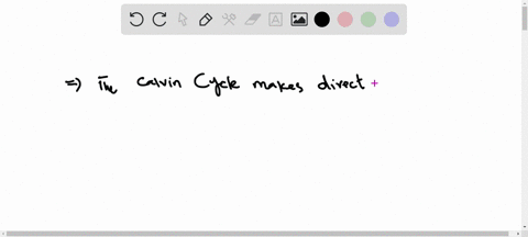 the-calvin-cycle-makes-direct-use-of-to-make-light-and-co2-sugar-light-co2and-water_-sugar-and-02-co2atp-and-nadph-sugar-and-02-co2-atp-and-nadph-sugar-94557