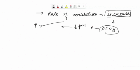 indicate-whether-an-increase-or-decrease-of-each-of-the-following-physiologic-situations-would-result-in-an-increase-or-decrease-in-the-rate-of-ventilation-decrease-rate-of-ventilation-incre-06452