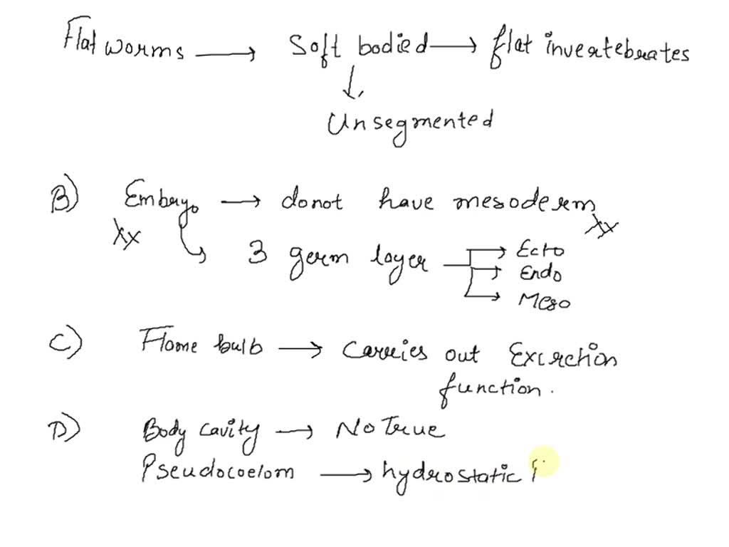 SOLVED a.) Flatworms lack a. a respiratory system. b. an excretory