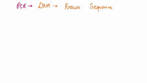 pcr-is-typically-used-to-amplify-dna-that-lies-between-two-known-sequences-suppose-that-you-want-to-explore-dna-on-both-sides-of-a-single-known-sequence-devise-a-variation-of-the-usual-pcr-p-97178