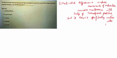 the-diffusion-of-water-molecules-from-an-area-of-high-concentration-to-an-area-ot-low-concentration-through-selsctively-permeable-membrane-is-the-definitiondescription-of-select-one-facilita-12607