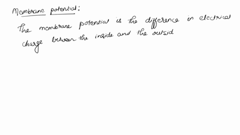 define-membrane-potential-and-conductance-30016