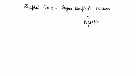 the-phosphate-groups-give-dna-an-overall-negative-charge-that-attracts-to-the-positive-pole-in-an-electrophoresis-chamber-true-false-96286