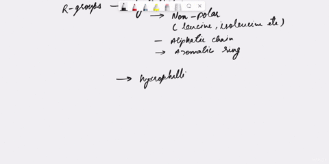 circle-and-lahel-the-functiona-groups-amiuo-and-carboxsl-etolp-und-the-curbon-this-jmino-acid-which-amino-this-and-what-is-the-ph-environmedt-aroui-this-amino-i0-points-ch-hyn-cooh-bniefly-d-77095