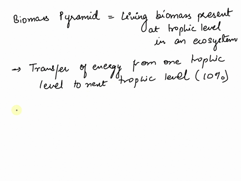a-biomass-pyramid-of-an-ecosystem-is-shown-tertiary-consumers-secondary-consumers-primary-consumers-producers-which-statement-provides-the-best-explanation-for-the-difference-in-biomass-of-o-76655