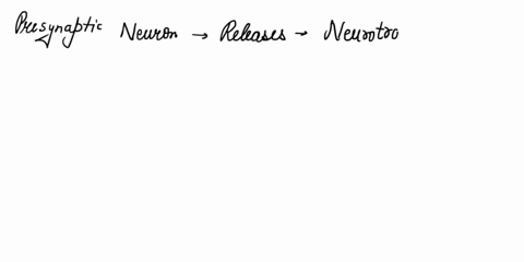 which-of-the-following-cells-of-the-epidermis-produce-lamellar-granules-langerhans-cells-melanocytes-keratinocytes-merkel-cells-11231