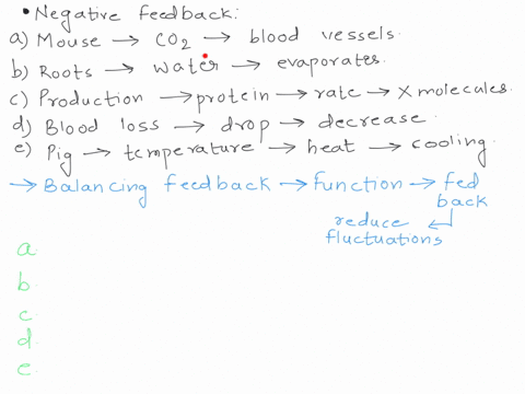 negative-feedback-examples-click-on-all-of-the-sentences-below-that-are-examples-of-negative-feedback-a-mouse-maintains-constant-carbon-dioxide-concentration-in-its-blood-vessels_-roots-abso-00206
